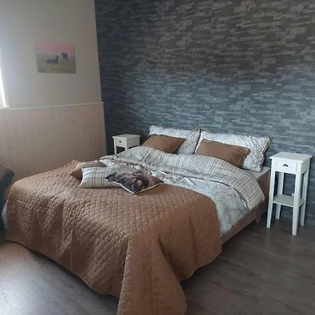 Lägenhet Kankaanpaeaen Ratsastuskeskus *