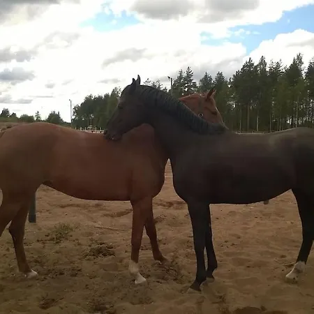 Kankaanpaeaen Ratsastuskeskus * Kankaanpää