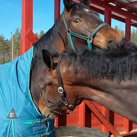 Kankaanpaeaen Ratsastuskeskus Daire *