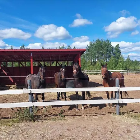 Daire Kankaanpaeaen Ratsastuskeskus