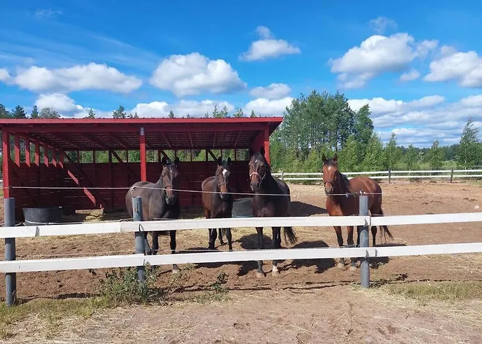 Apartmán Kankaanpaeaen Ratsastuskeskus